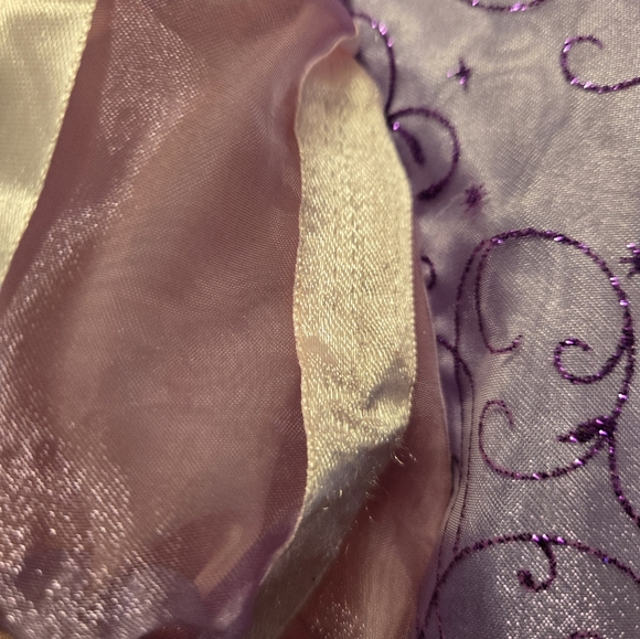 Disney Princess Rapunzel Costume, Pink and Purple, XS (Size 3T - 4) - Picture 4 of 4